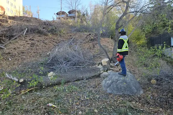 Landscaping project