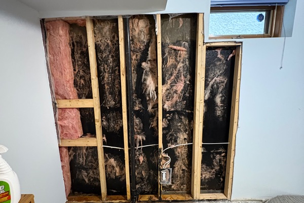 Demolition and Excavation project