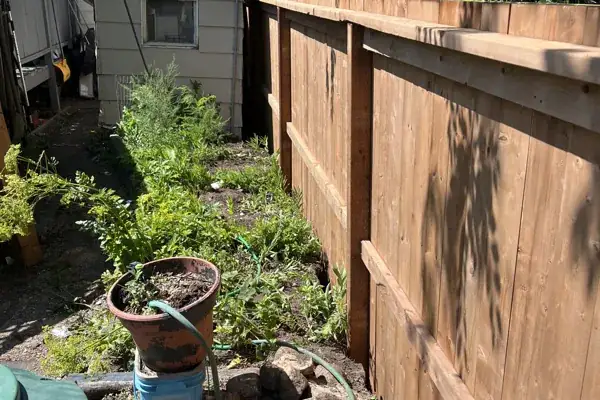 Fences project