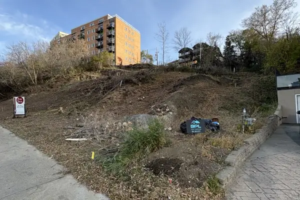 Landscaping project