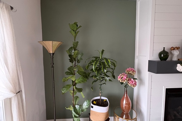 Interior project